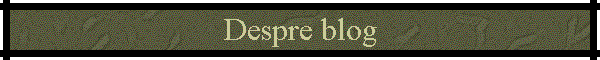Despre blog