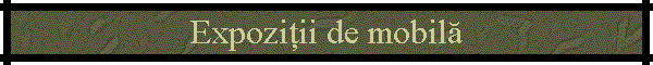 Expoziții de mobilă