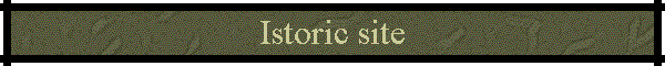 Istoric site
