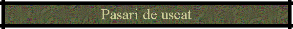 Pasari de uscat