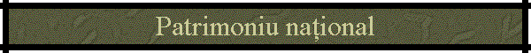 Patrimoniu național