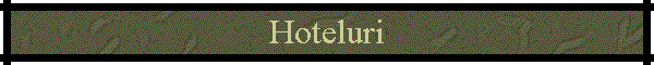 Hoteluri