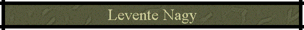 Levente Nagy