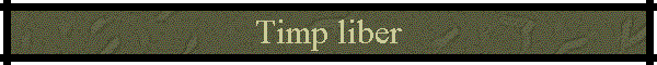 Timp liber